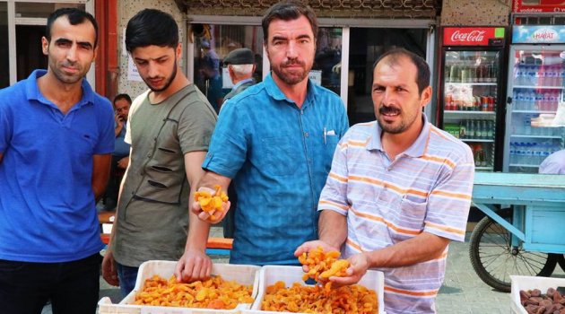 Kayısı para etmeyince emlak sektörü durma noktasına geldi
