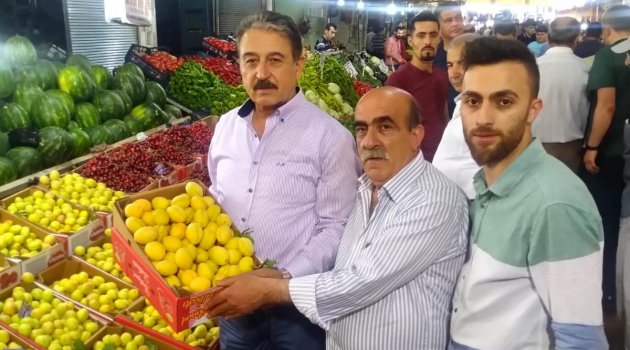 "Kayısıya büyük bir darbe olur"