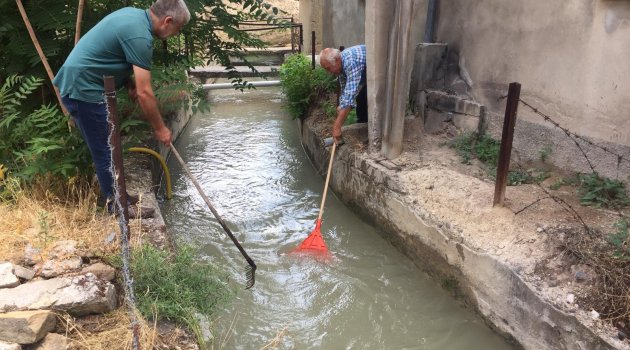 Kaz yavrusu için seferber oldular