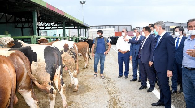 Kesimhanelerde monoray sistemi!