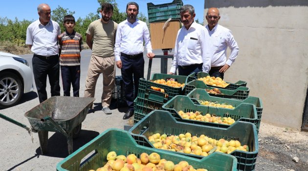 "Çiftçiye yetim muamelesi yapıyorlar"