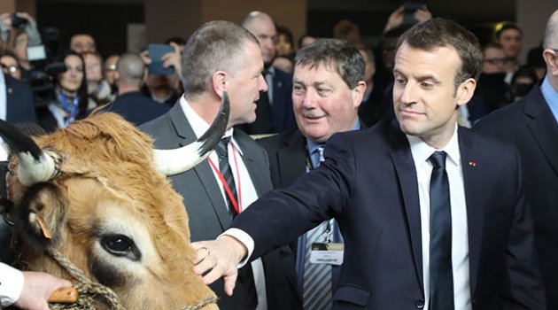 Macron'un tarım fuarında ilginç anları