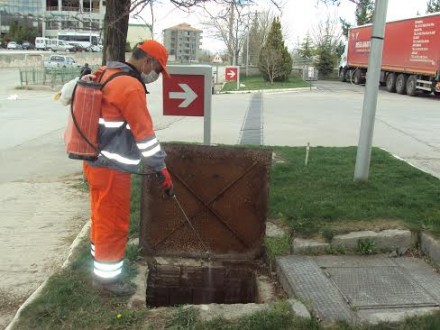 Malatya Belediyesi, Vektör Kontrol Hizmetlerine başladı