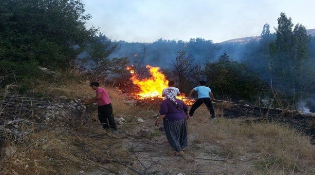Malatya'da Anız Yangını 3 Bahçeyi Kül Etti