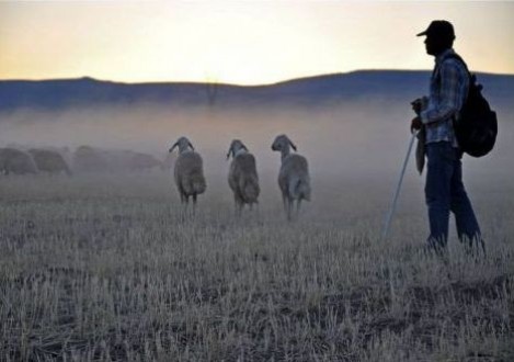 Malatya'ya Fotoğraf Yarışmasından Ödül !