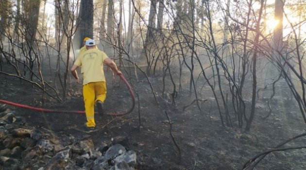 Mangaldan çıkan yangın 7 hektarlık ormanlık alanı yok etti