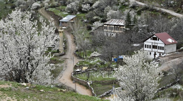 Meteorolojiden zirai don uyarısı!