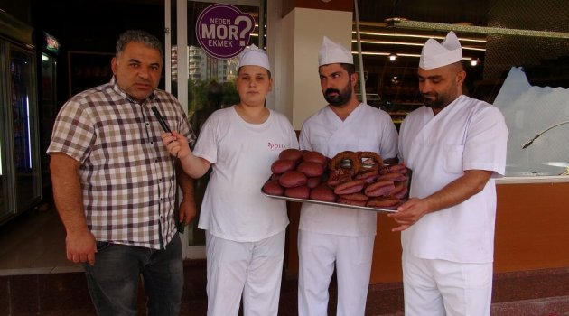Mor ekmek üretimine başlandı