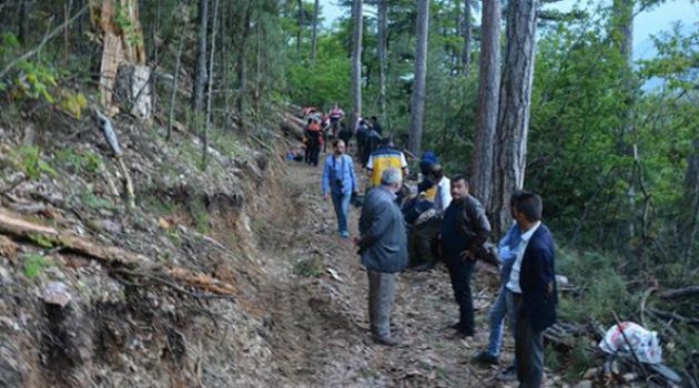 Orman işçilerinin üzerine ağaç devrildi: 1 ölü, 1 yaralı