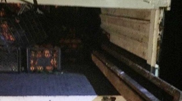 Pes dedirten hırsızlık