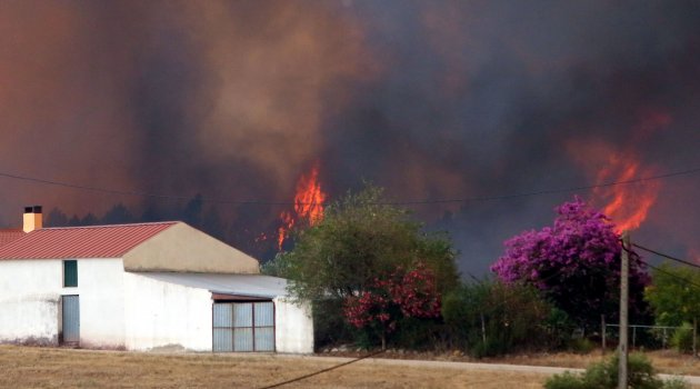 Portekiz'de orman yangınları kontrol altına alındı