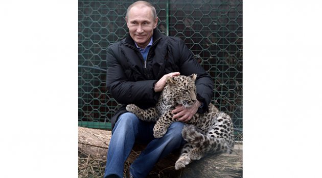 Putin'in leoparı ölü bulundu