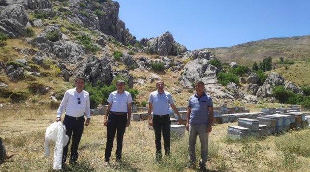 "Arıcılık için elverişli bir coğrafya"
