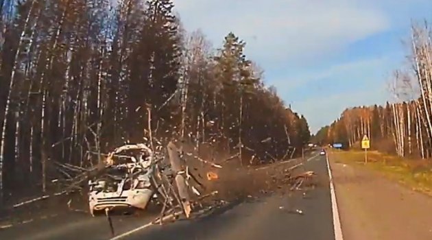 Rusya'da devrilen ağaç otomobili parçaladı