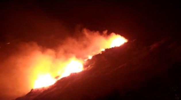 Samandağ'da bitki örtüsü yangını korkuttu