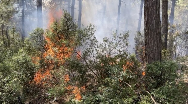 Sarıyer'de 500 metrekarelik alan alev alev yandı