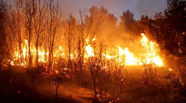 Seydikemer'de orman yangını: 20 hektar alan yandı