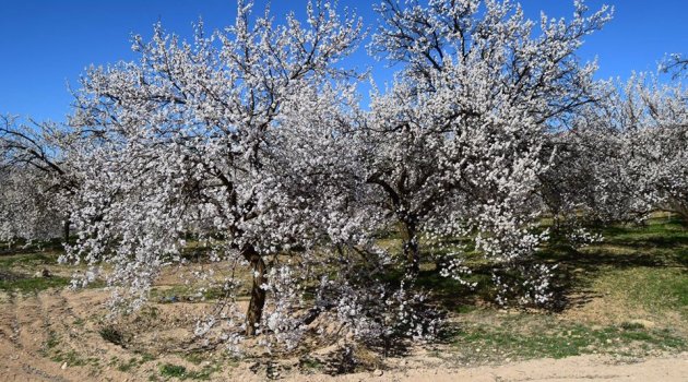 "Sorun sadece doğal felaketler değil"