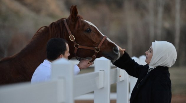 Sultansuyu Hippoterapi Merkezini ziyaret etti