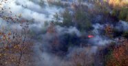 1 haftadır yanıyor! 70 hektar kül oldu