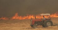 100 hektarlık alan zarar gördü