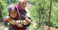 104 yaşındaki kaynanasını sırtında taşıyor!