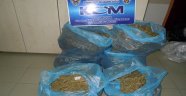 40 Kilo Esrar Ele Geçirildi