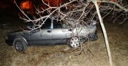 Akçadağ'da Otomobil Bahçeye Uçtu: 1 Yaralı