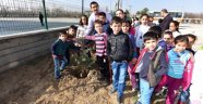 Battalgazi Belediyesi Fidanları Toprakla Buluşturuyor