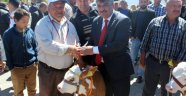 En İyi Buzağı Yarışması Yapıldı