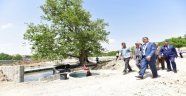 Başkan Gürkan Tarihi Çınar Rekreasyon Alanı Projesi Çalışmalarını İnceledi