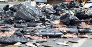 Malatya'da 2 ton balık atığı yola döküldü