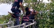 Ağaçta Mahsur Kalan Gencin İmdadına İtfaiye Yetişti