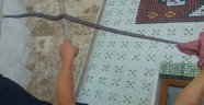 Camiye giren yılan paniğe neden oldu