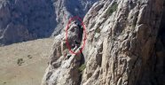 Kayalıklarda Mahsur Kalan Keçileri İtfaiye Kurtardı