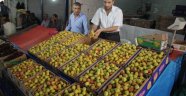 Malatya'da Sezonun ilk Kayısısı Tezgahlara İndi