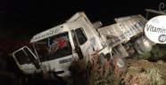 Kayısı Yüklü Kamyon Kaza Yaptı