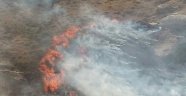 Malatya'da ormanlık alanda yangın