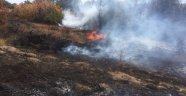 Darende'de arazi yangını
