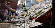 Balıklar ucuzladı, rağbet arttı