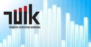 TÜİK 2013-2015 yılları istatistik verilerini açıkladı