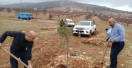Akçadağ'da fidanlar toprakla buluştu