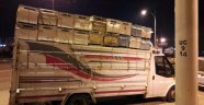 Malatya'da çalınan Arı kovanları Diyarbakır'da yakalandı