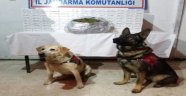 Jandarma kaçak sigara, esrar ve kaçak içki ele geçirdi