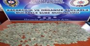 Polis bir şahsın üzerinde 3 bin 560 adet tarihi sikke ele geçirdi