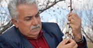 Kayısı çiçeklendi, üretici teyakkuza geçti