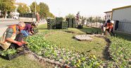 Malatya çiçeklerle renkleniyor