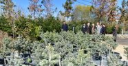 Battalgazi Belediyesi 100 bin fidanı toprakla buluşturacak