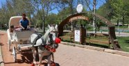 Malatyalılar faytonu sevdi
