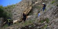 Kayalıklarda mahsur kalan keçi kurtarıldı